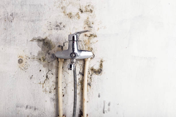 Best Water Damage Restoration  in Pinconning, MI