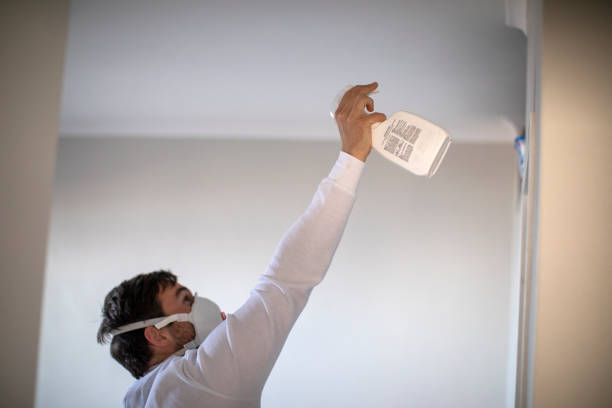 Best Mold Removal Company Near Me  in Pinconning, MI