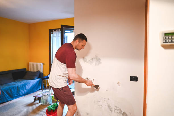 Best Mold Testing  in Pinconning, MI